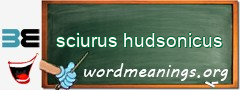 WordMeaning blackboard for sciurus hudsonicus